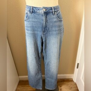 Madewell The Plus Curvy '90s Straight Jean
